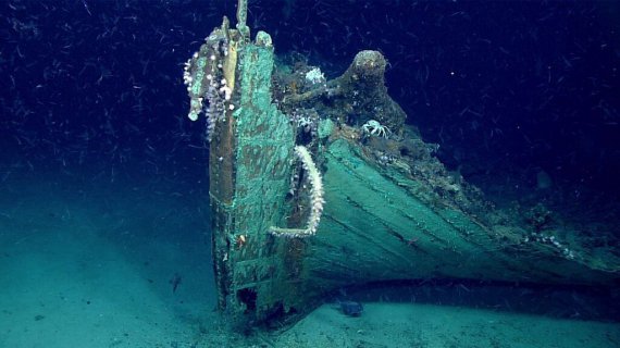 ​На дне Мексиканского залива нашли древний корабль - уникальные кадры