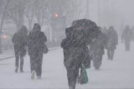 Из-за снегопада во Львовской области обесточены 50 населенных пунктов