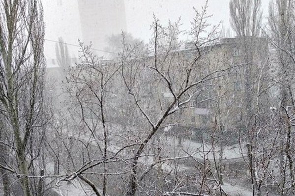 Кадры погодного апокалипсиса на оккупированном Донбассе: Донецк замело снегом - фото