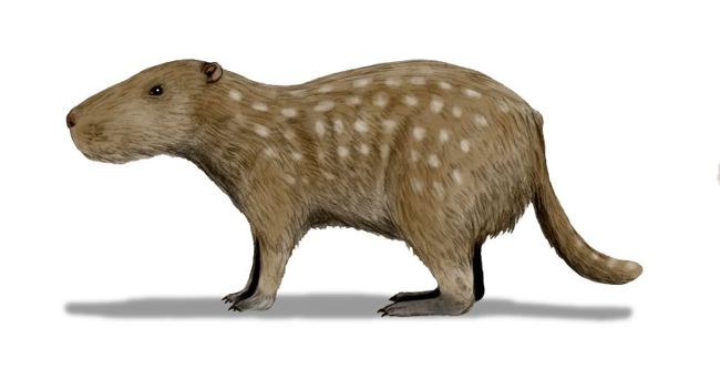 Английский ученые нашли уникальные останки доисторического грызуна-гиганта, весом более тонны