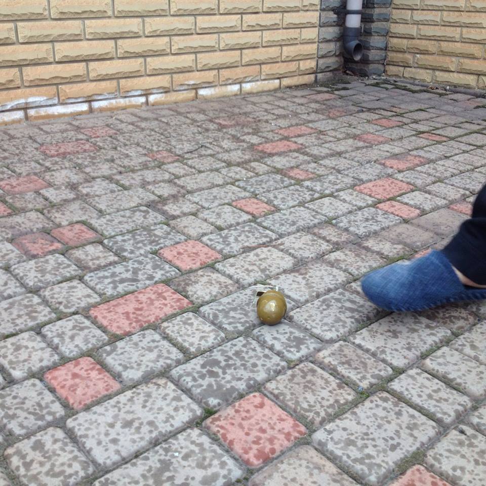 В Кривом Роге неизвестные бросили две гранаты во двор дома комбата "Кривбасса"