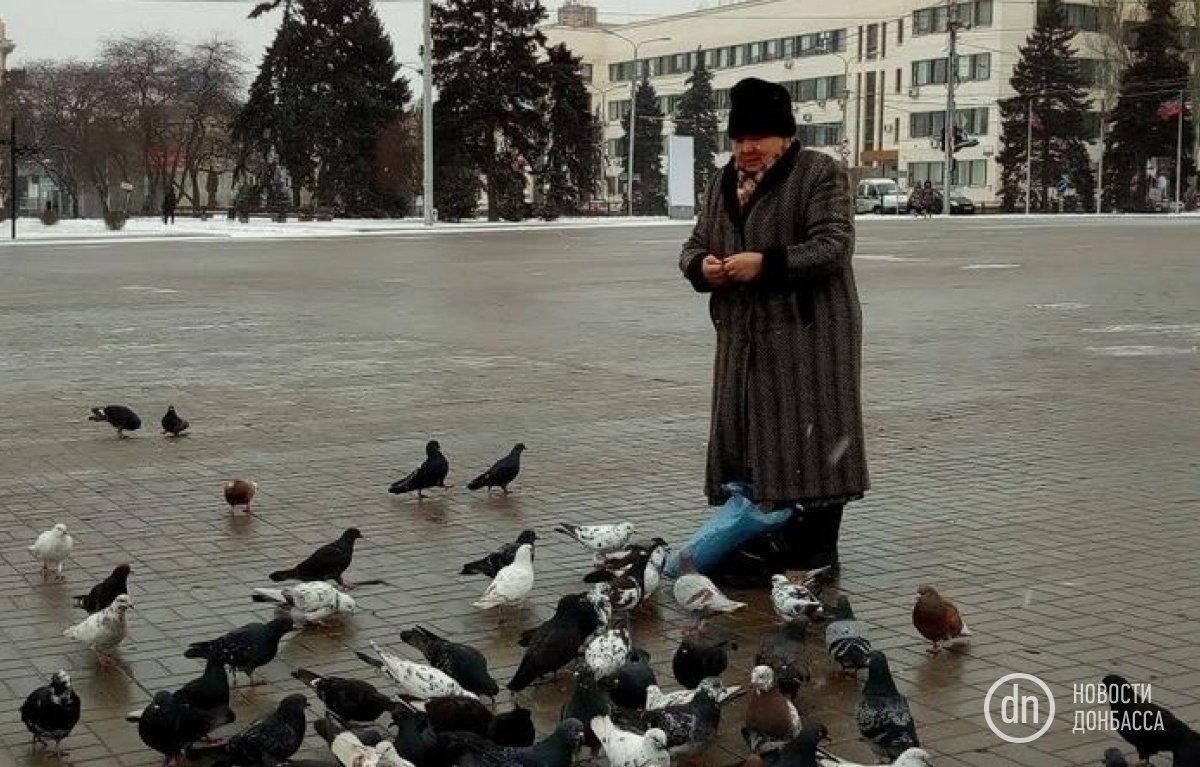 "Больно… Очень", – в Сети показали новые кадры их заснеженного Донецка:  мало людей, много птиц