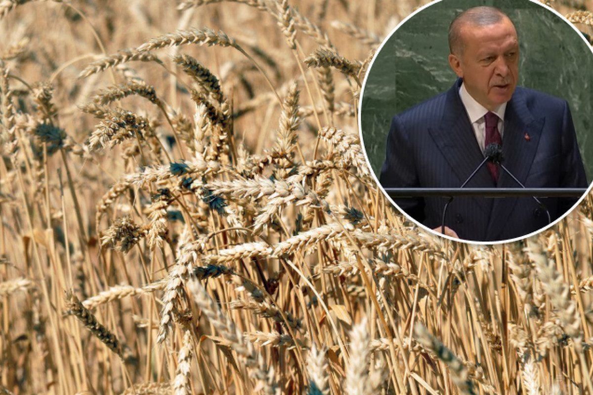 Турция – покупатель украденного из Украины зерна