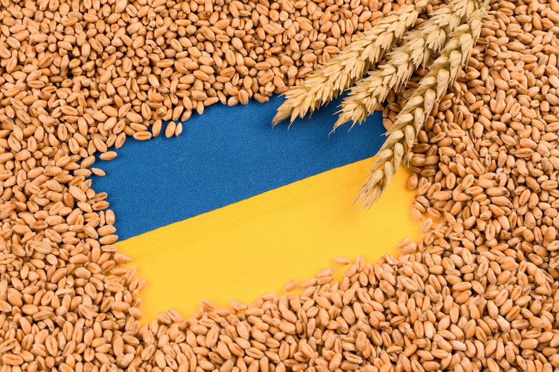 Мито на українське зерно: Угорщина та 4 її союзники висунули вимогу Єврокомісії
