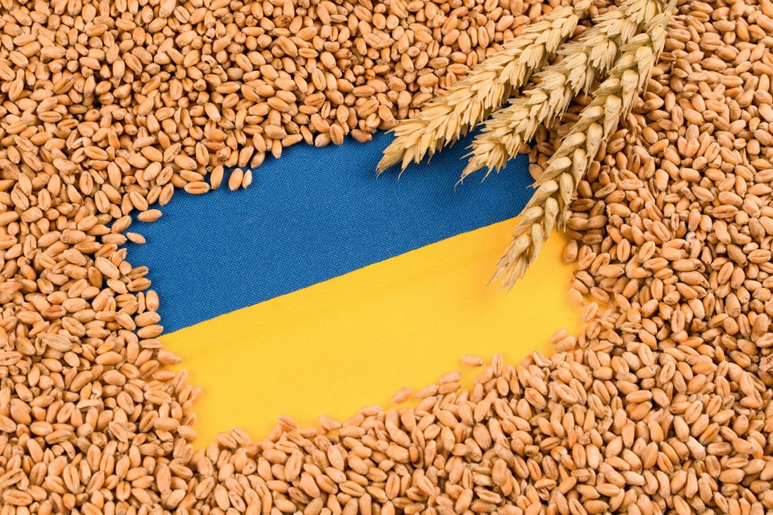 Пошлина на украинское зерно: Венгрия и 4 ее союзника предъявили требование Еврокомиссии
