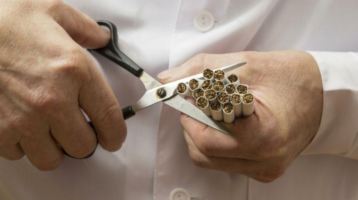 Для утепления жилых домов ученые предлагают использовать окурки от сигарет