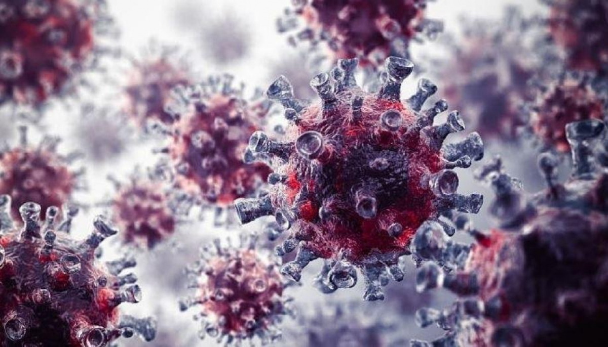 Ученые предупредили о новом штамме свиного гриппа G4EAH1N1, который может стать пандемией