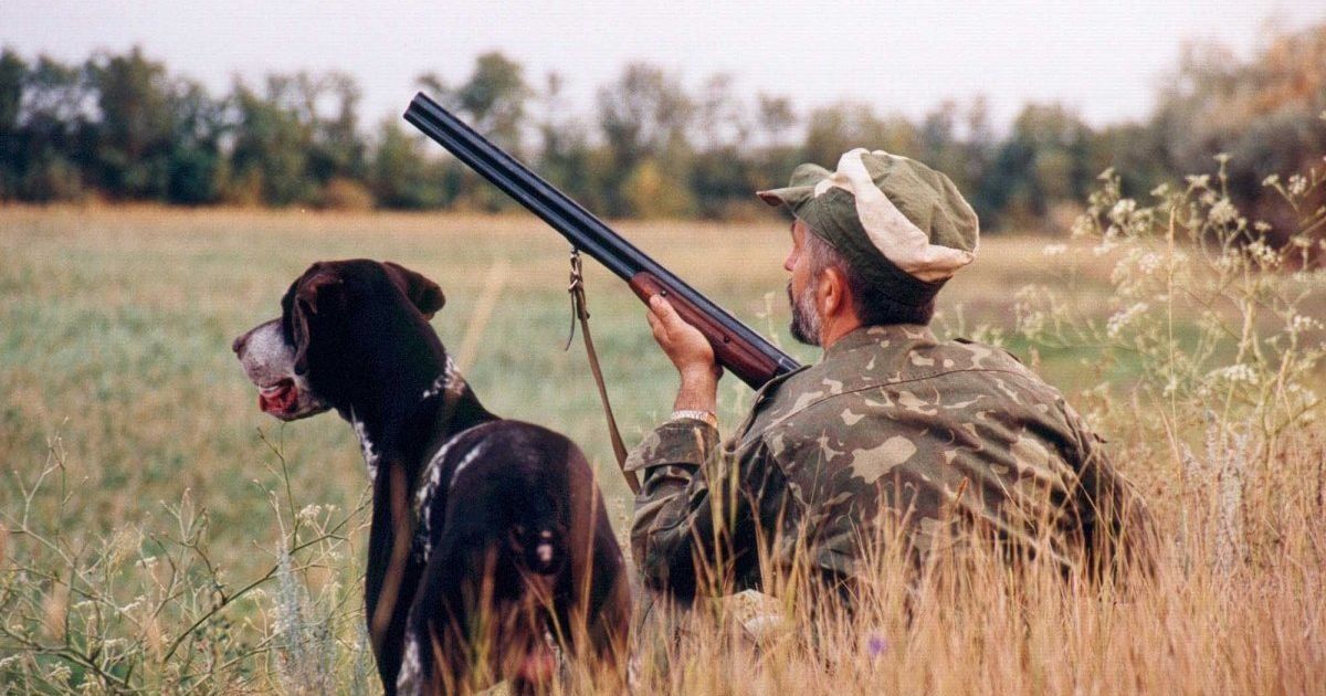В Украине предложили ввести полный запрет охоты на животных: названы причины
