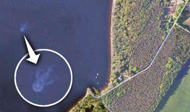 Спутниковые снимки помогли найти в озере Байкал 100-метрового кракена 
