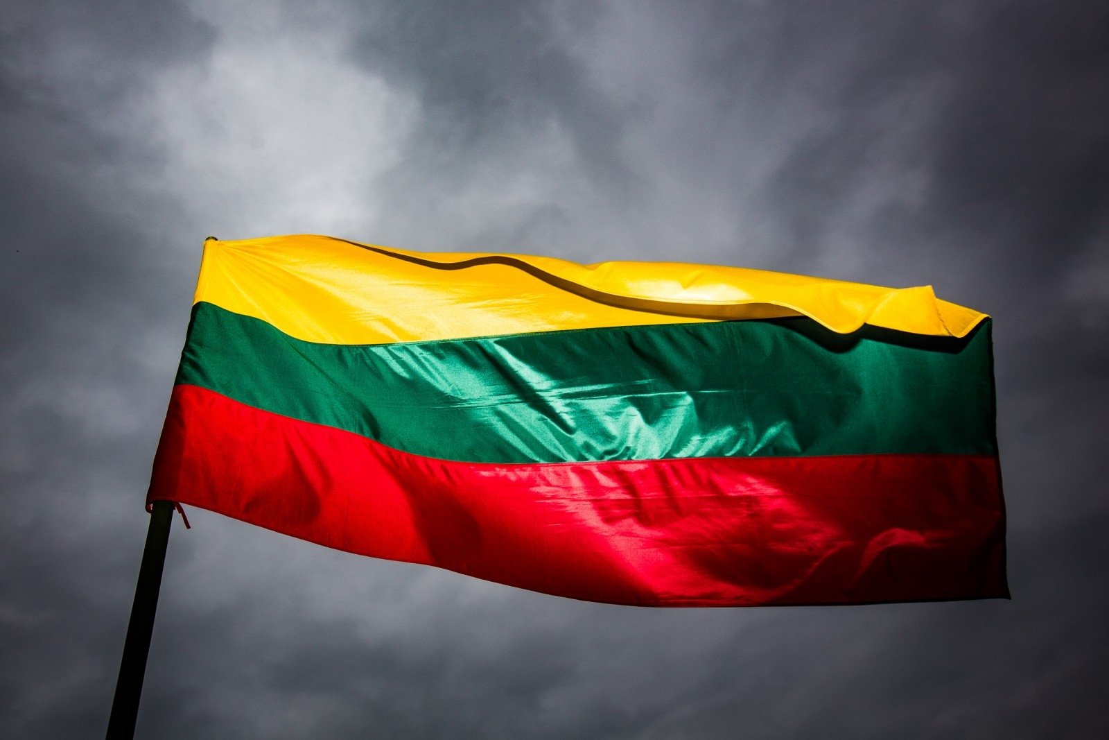 Литва готова нанести удар по России из-за паспортизации Донбасса