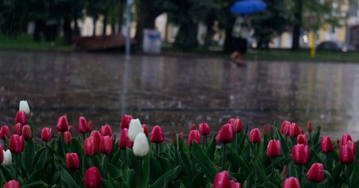 Неоднородная погода в регионах Украины 26 мая и одна особенность завтрашнего дня – прогноз синоптика