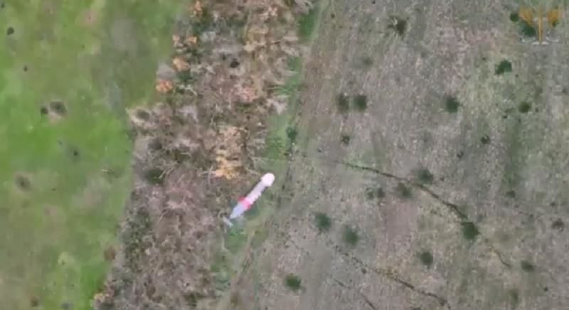 Момент сброса бомбы николаевскими десантниками на пехоту оккупантов на Донбассе попал на видео