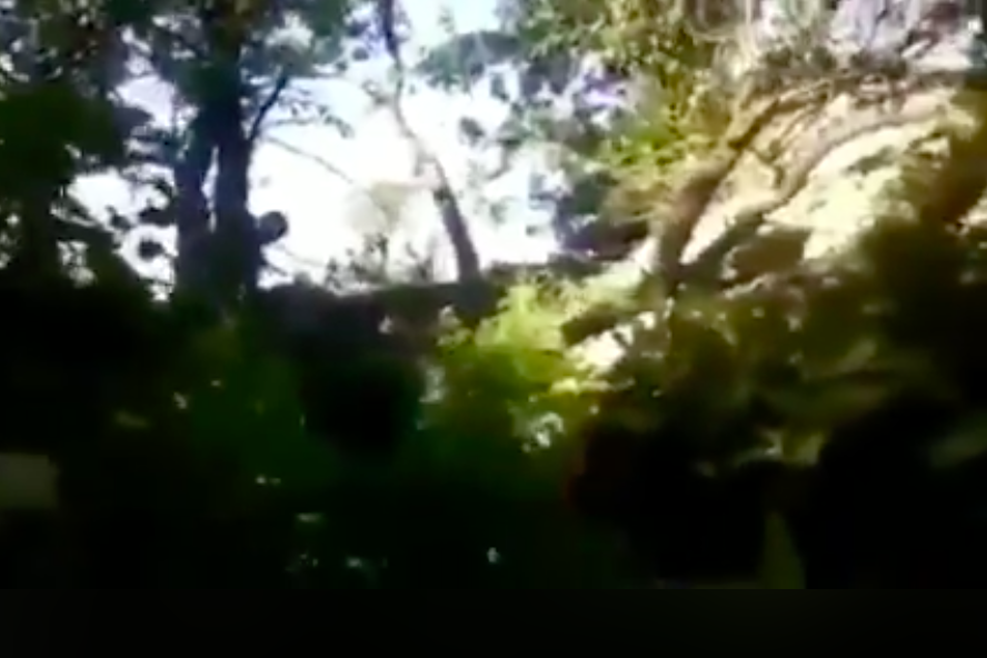 Операция "Самоликвидация": видео неудачного выстрела террористов "Л/ДНР" взорвало Сеть