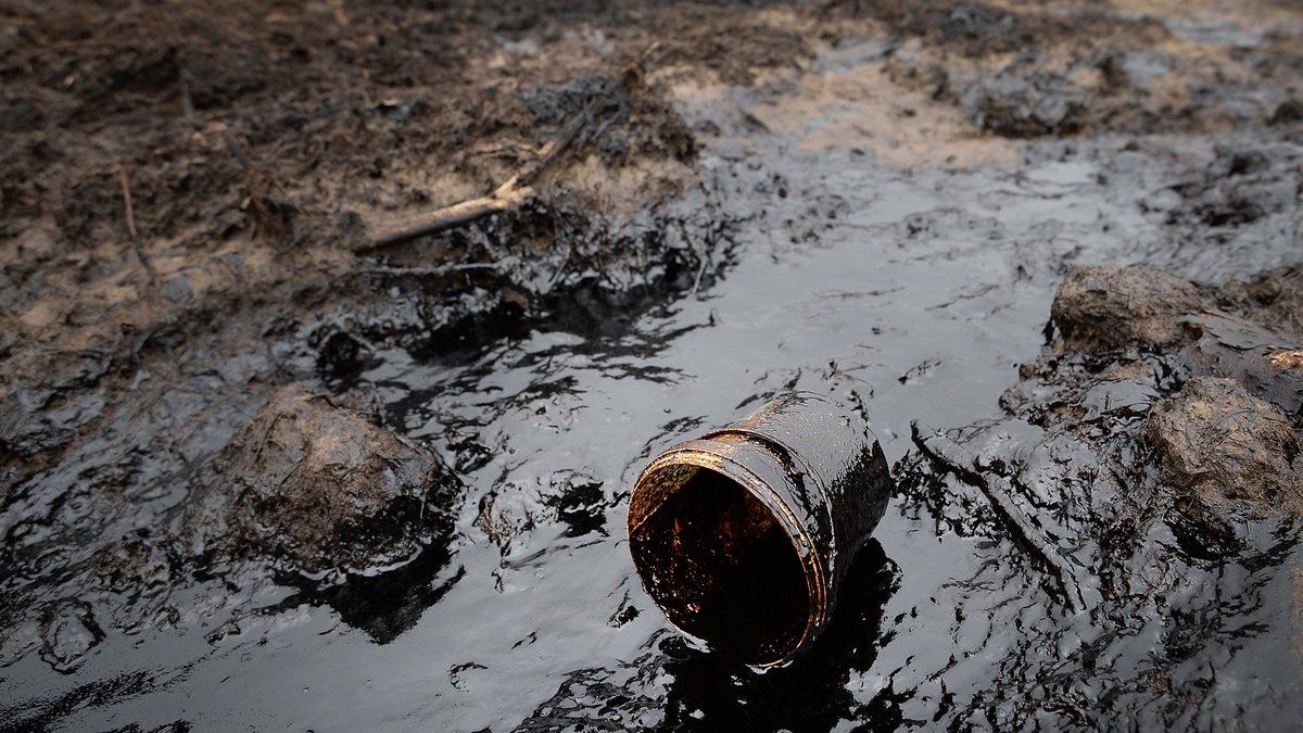 Под Черниговом пролилась нефть – загрязнение получили поле и лес