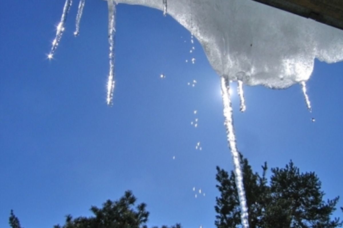 Теплый африканский воздух идет в Украину: март стартует солнечно и сухо