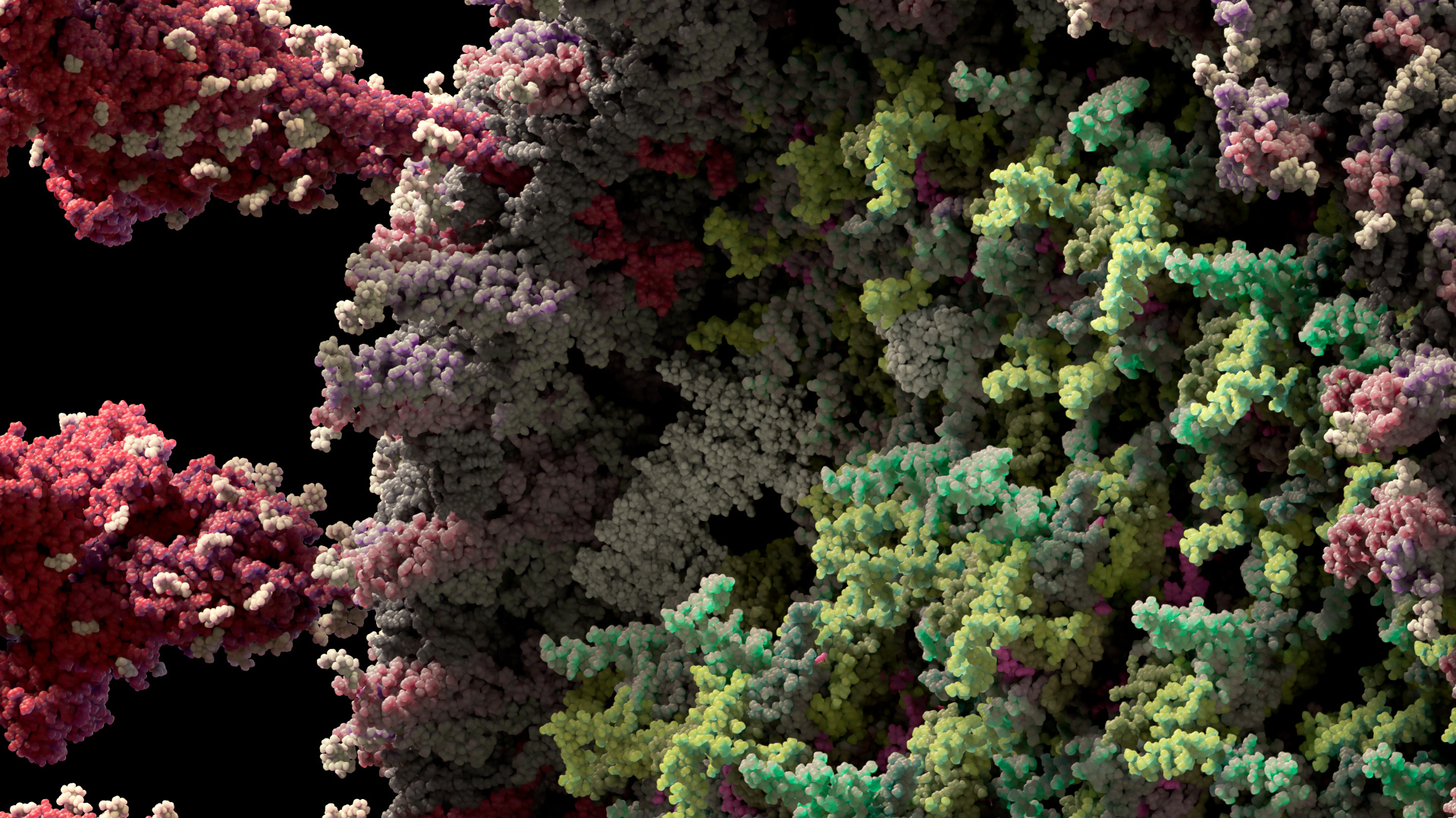 Ученые-визуализаторы создали самую достоверную 3D-модель вируса SARS-CoV-2, кадры