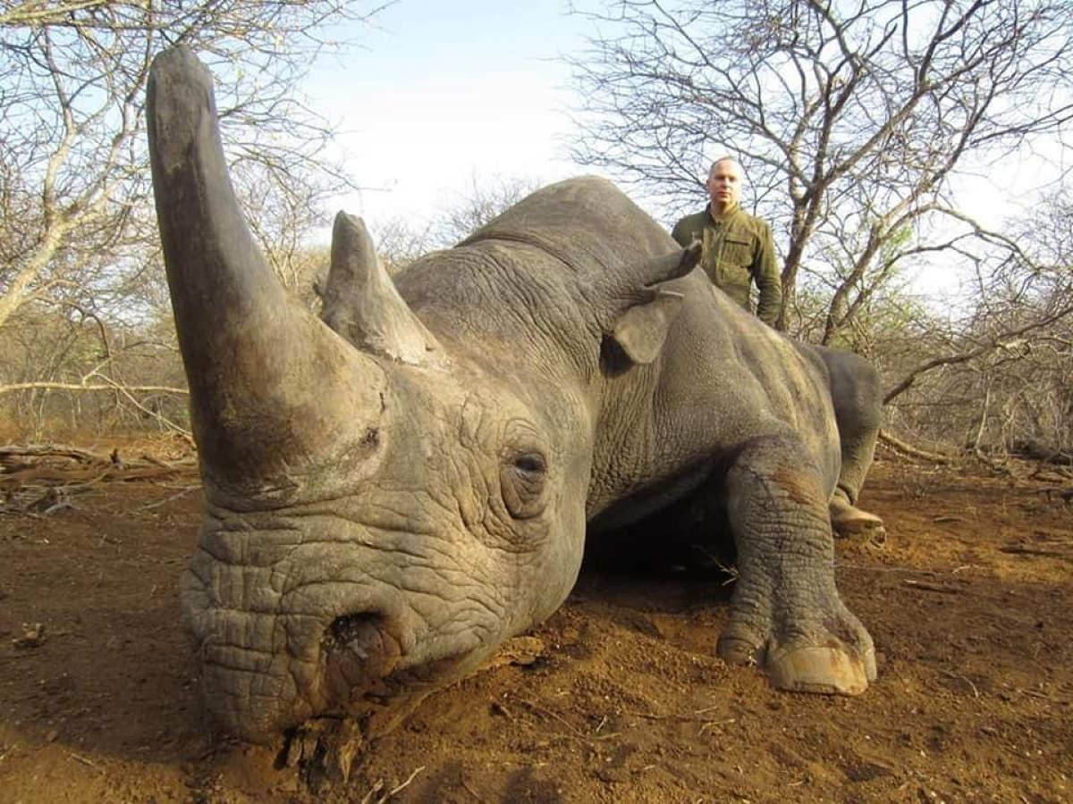 Нестор Шуфрич застрелил редкого носорога и гепарда - французские организации требуют наказания