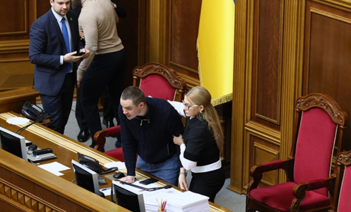 "Как два индюка бились за самку", - депутаты Власенко и Дмитрук устроили драку из-за Тимошенко, видео