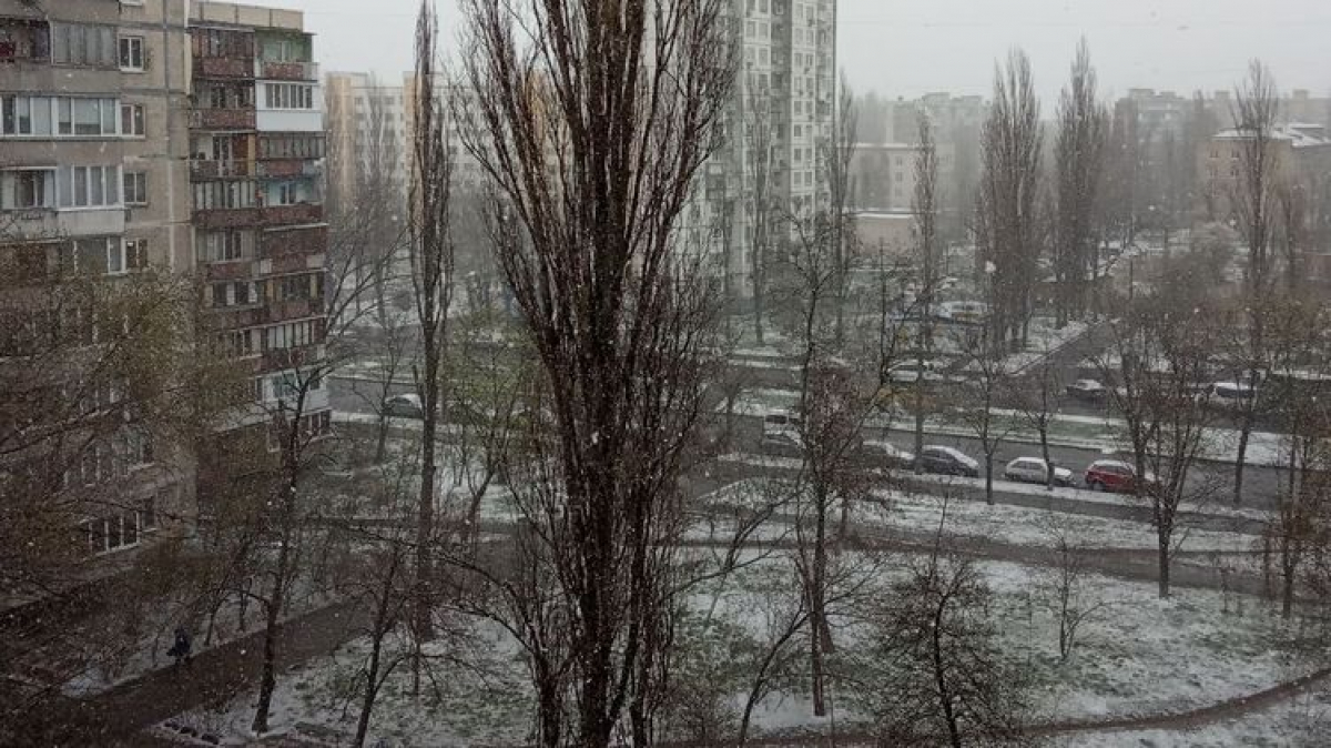 Киев накрыл мощный снегопад в последний день марта: киевляне такого не видели давно, видео