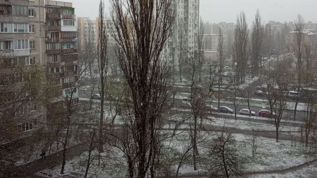 Киев накрыл мощный снегопад в последний день марта: киевляне такого не видели давно, видео