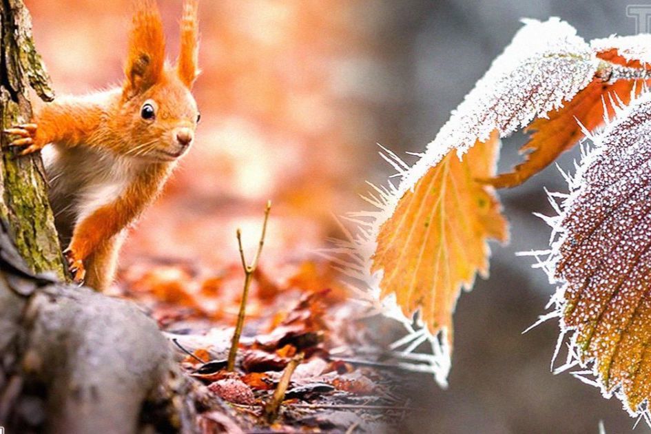 ​Погода устроит Украине американские горки — от +14 до минусовых температур в ближайшие дни