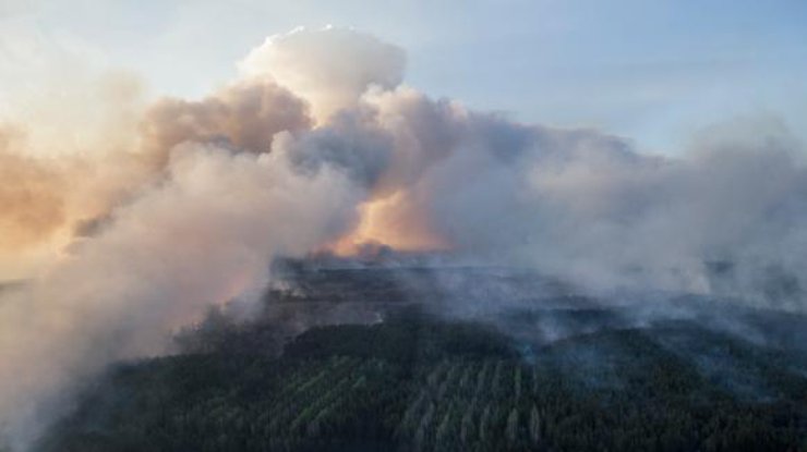 ​В Чернобыле в зоне отчуждения масштабный пожар