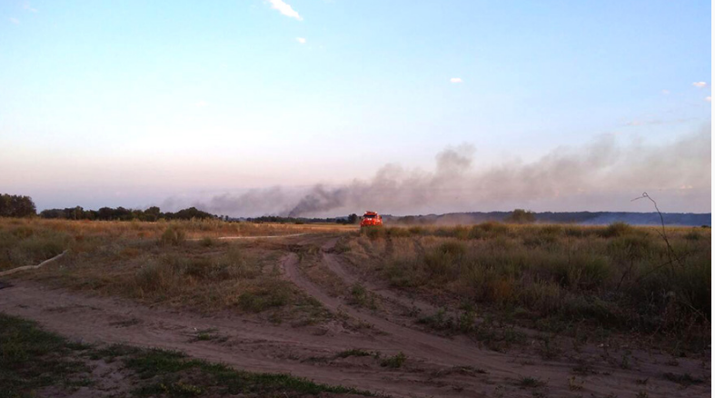 Невыносимый смрад и столб дыма до самого неба: в Полтавской области не могут потушить торфяники