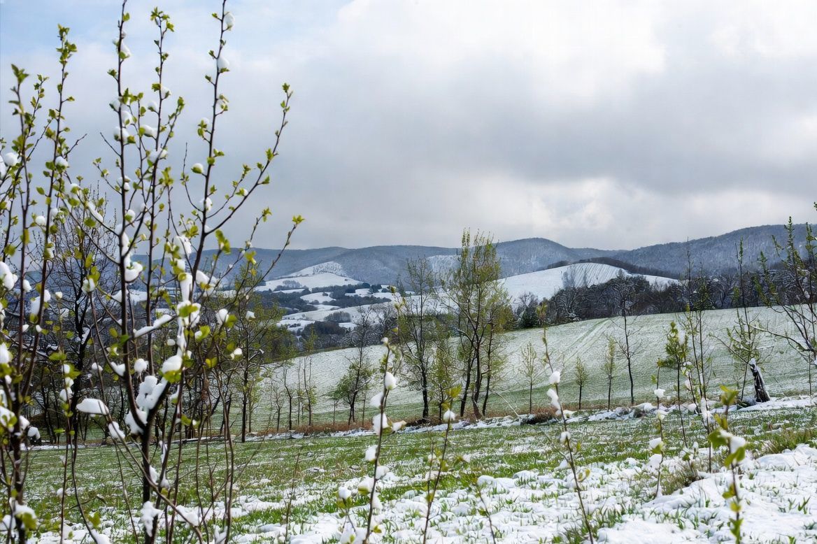 Снег в апреле: Украина снова попадает под удар холода