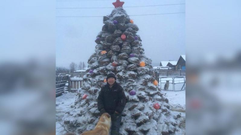 Вся сущность "великих" духовных скреп: в России установили новогоднюю елку из навоза - кадры