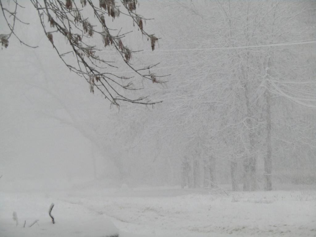 На Луганск обрушился мощный снегопад: в городе множество ДТП, большие заносы, на дорогах армагеддон - фото