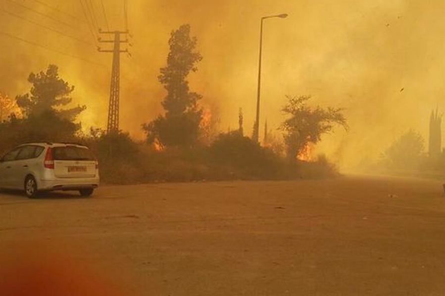 ​Огненный ад бушует в Израиле, это похоже на конец света - подробности и страшные кадры