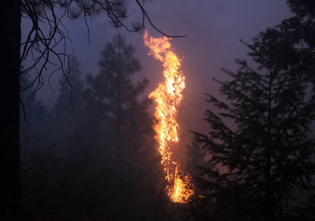 В Калифорнии разбился самолет, который тушил лесной пожар
