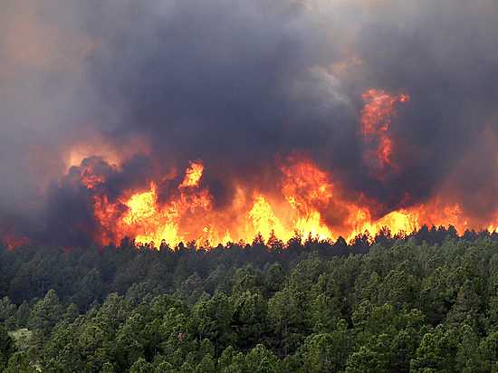Разрушительные лесные пожары в Волгоградской области: медики экстренно готовят лечебные учреждения из-за небывалой природной катастрофы