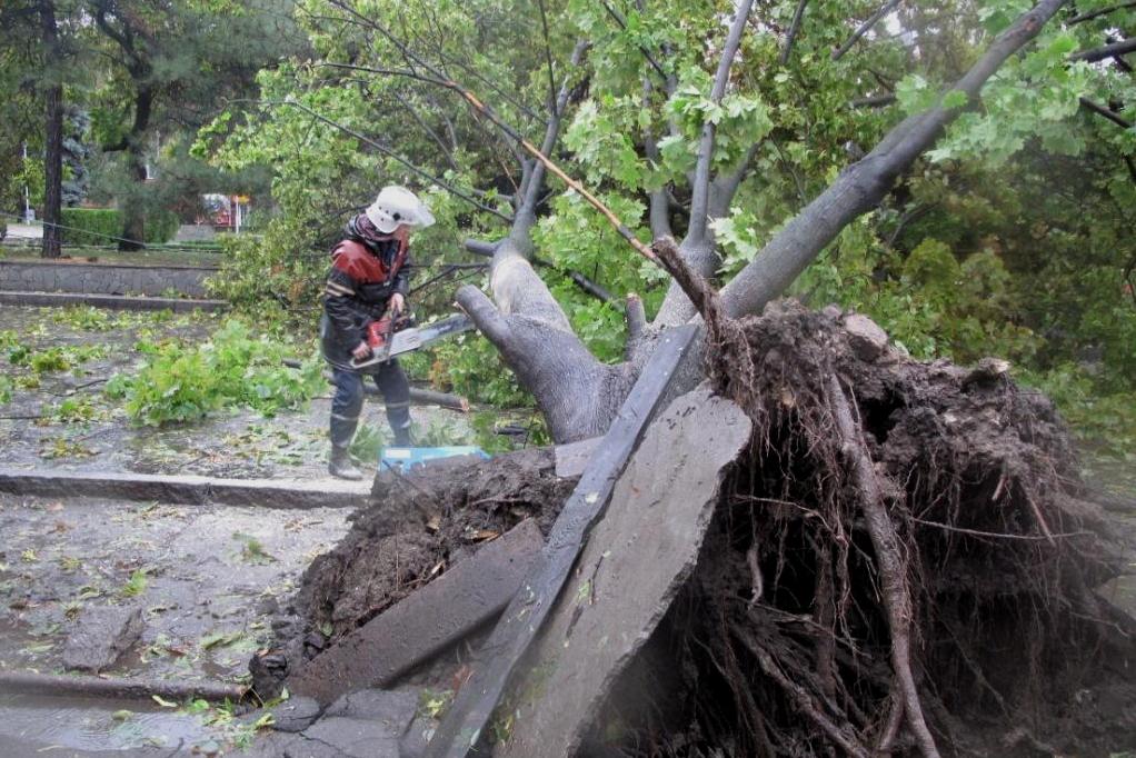 Пять областей Украины пострадали из-за стихии: без света остались 39 городов