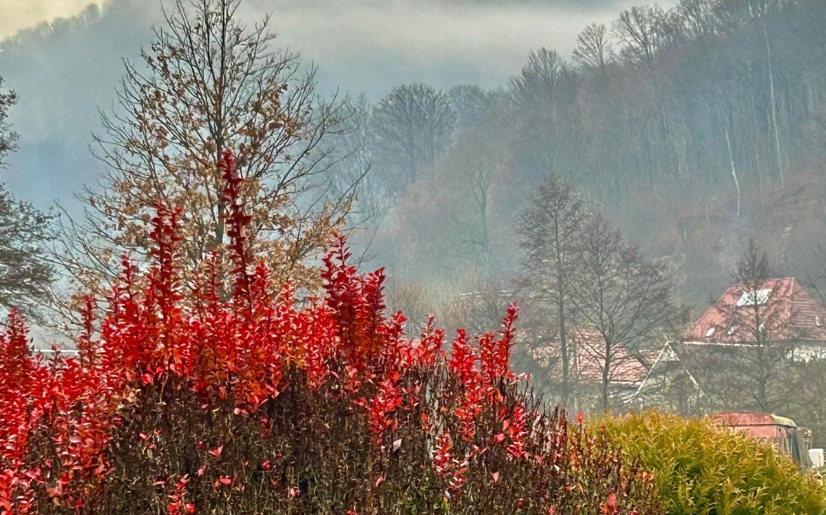 Стоит ли ждать снега и морозов: синоптик рассказала, какая погода ждет Украину в начале декабря