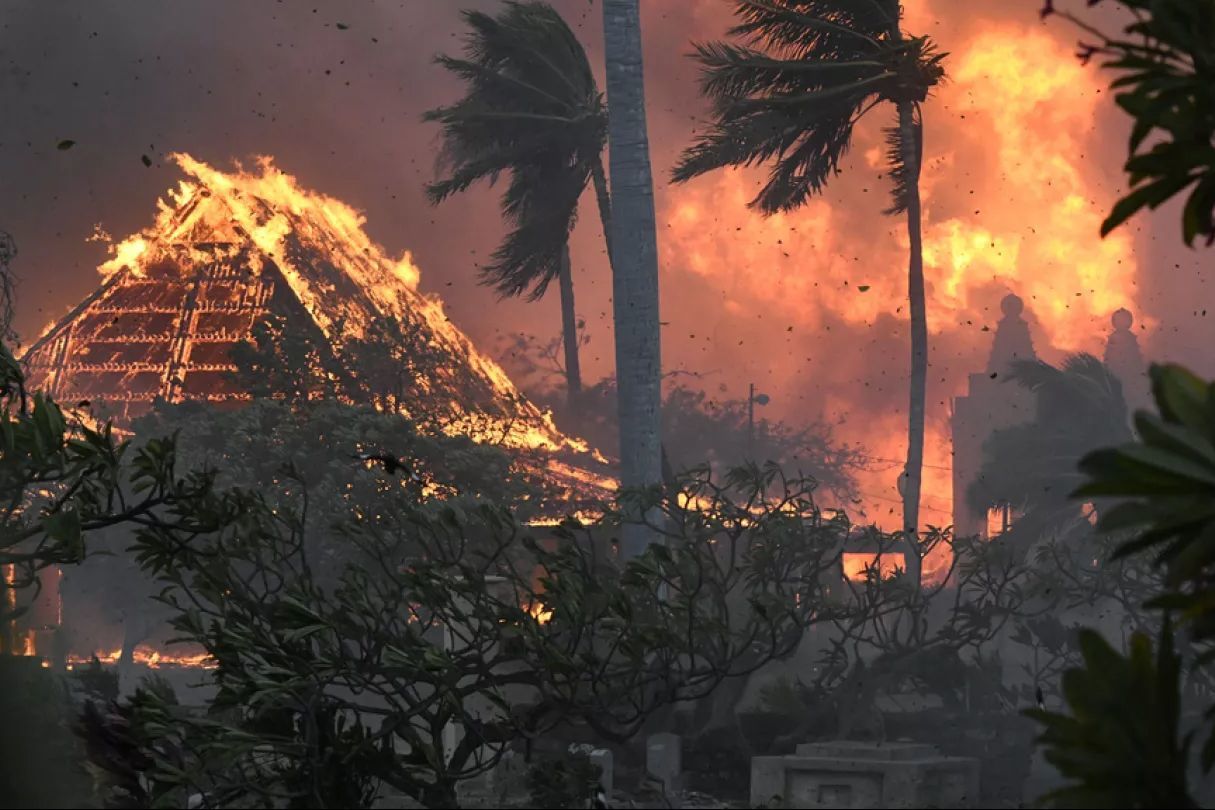 ​На Гавайях сильнейшие за 100 лет лесные пожары: города "пожирает" огонь, более 80 погибших
