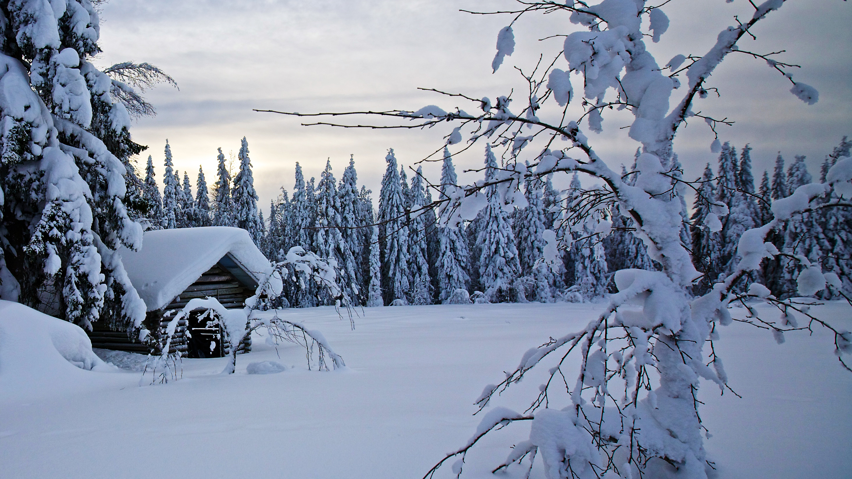 Из-за снегопадов в Финляндии обесточены 13 тысяч домов