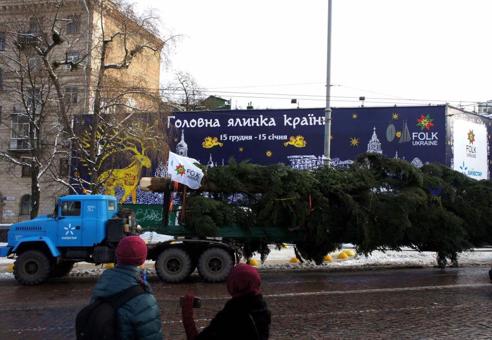 Праздник приближается: в Киеве на Софии установили новогоднюю елку