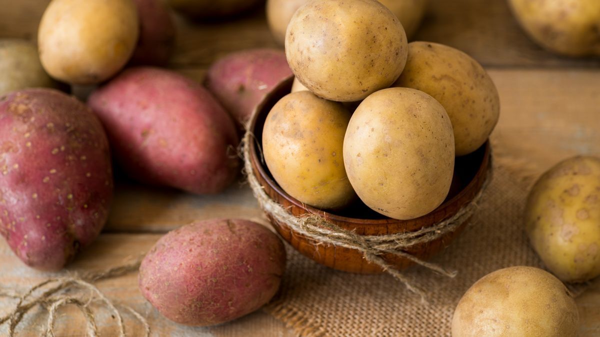 Картофель ни в коем случае нельзя хранить рядом с луком: почему и как уберечь овощи
