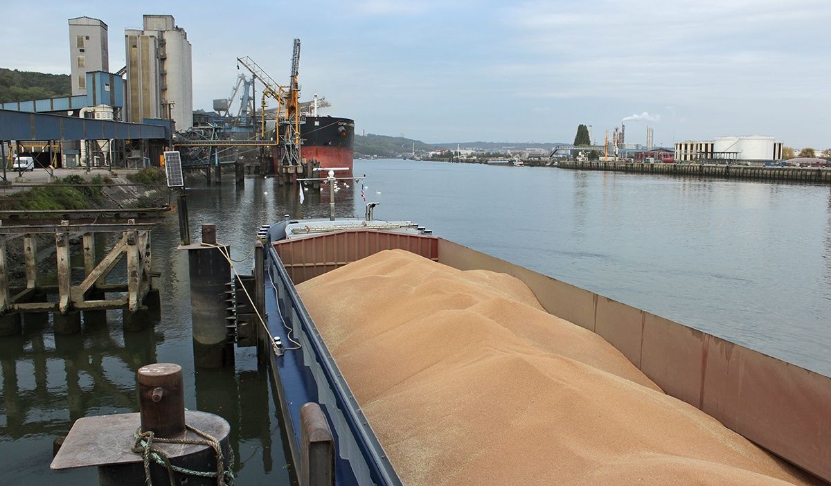 ​Украина предложила Румынии ряд вариантов, которые помогут избежать заторов кораблей с зерном
