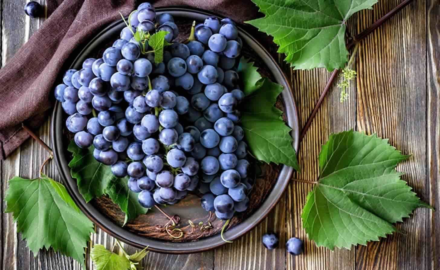 Ученые обнаружили в винограде ресвератрол: что это за вещество, и как влияет на организм