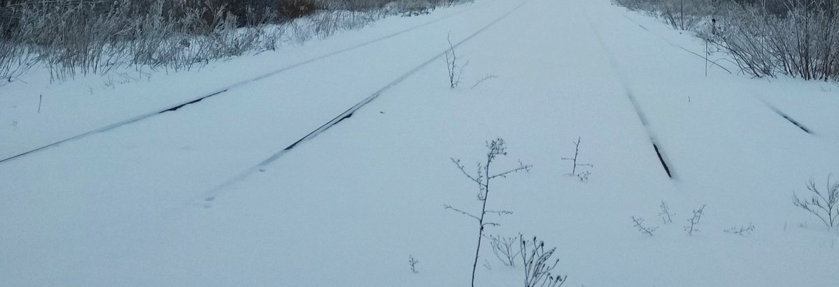 Даже рельсов почти невидно: в Сети показали железную дорогу, по которой луганские боевики собирались пускать поезда в Европу, - кадры