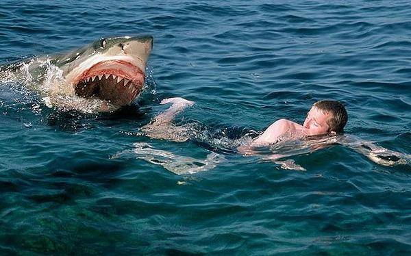 ​В США акулы напали на подростков. Юноша и девушка остались без рук