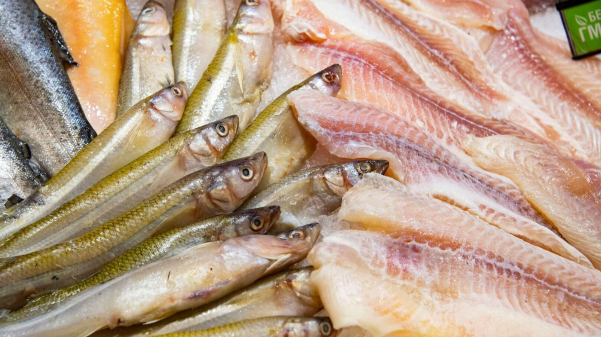 Морская рыба VS речная рыба: какая полезнее