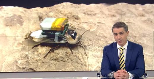 Ученые США научились управлять насекомыми с помощью компьютеров