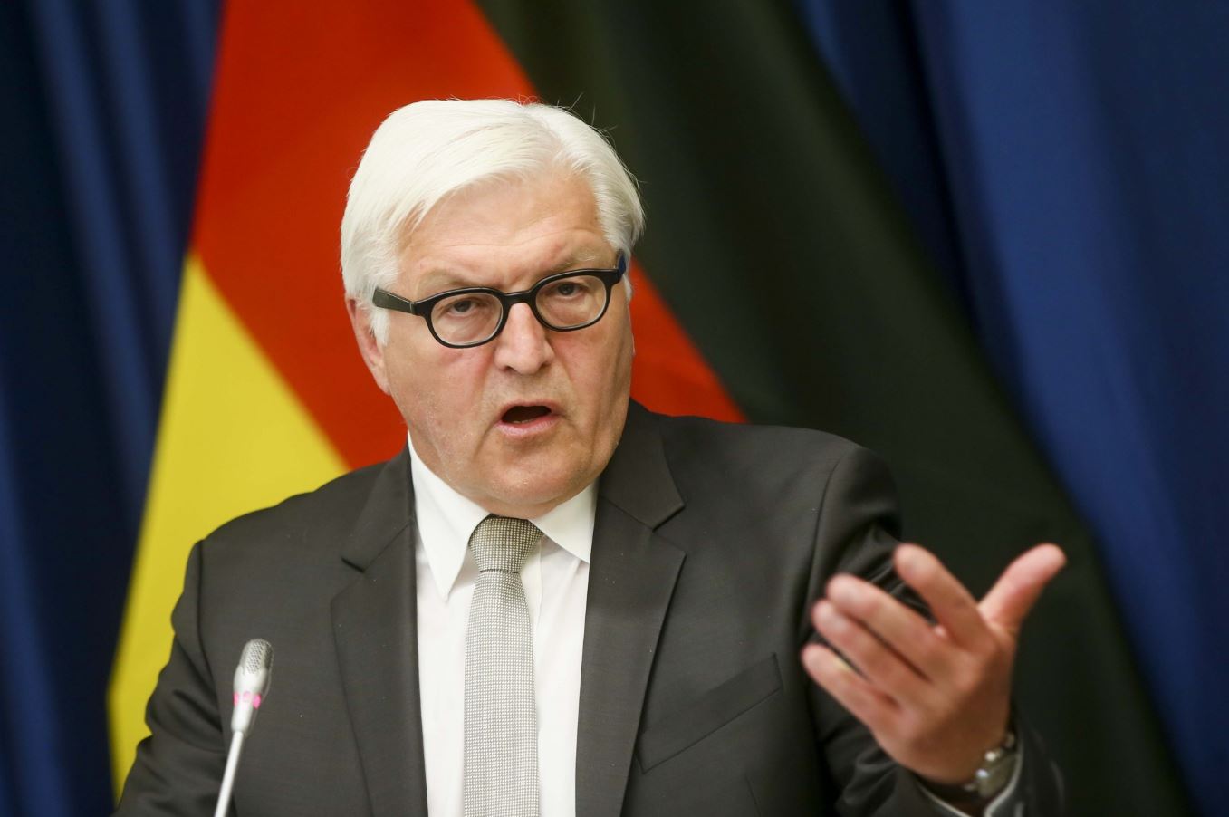 Германия рассчитывает на диалог между Украиной и РФ по событиям в Крыму, - глава МИД ФРГ Штайнмайер