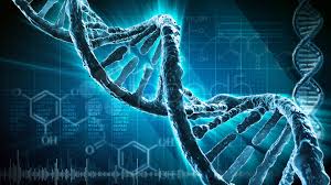 Ученые ошеломили всех ролью загадочной "мусорной" ДНК: стало известно, какие генетические изменения помогли человеку обрести разум