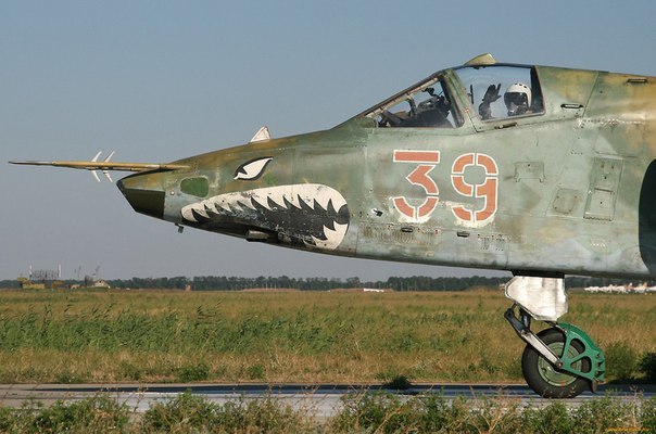 Подробности крушения Су-25 под Запорожьем: самолет разорвало на части