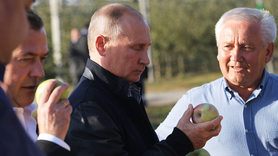 В России внезапно возник дефицит яблок и картофеля – Путин рвет и мечет: "Сады не можем посадить, что ли?"