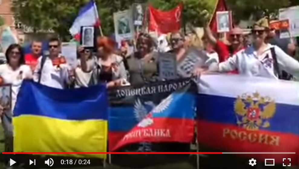Делегация России на "Евровидении" несла флаг "ДНР": опубликовано видео, вызвавшее скандал